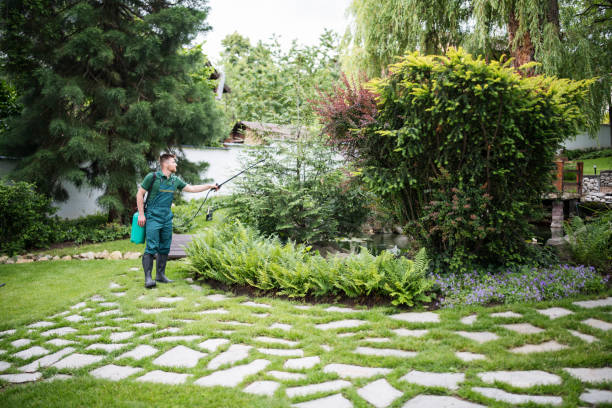 Best Mosquito Control Services  in Six Mile, SC