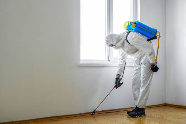 Best Commercial Pest Control Services  in Six Mile, SC