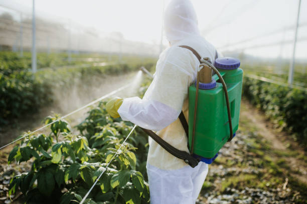 Best Residential Pest Control  in Six Mile, SC